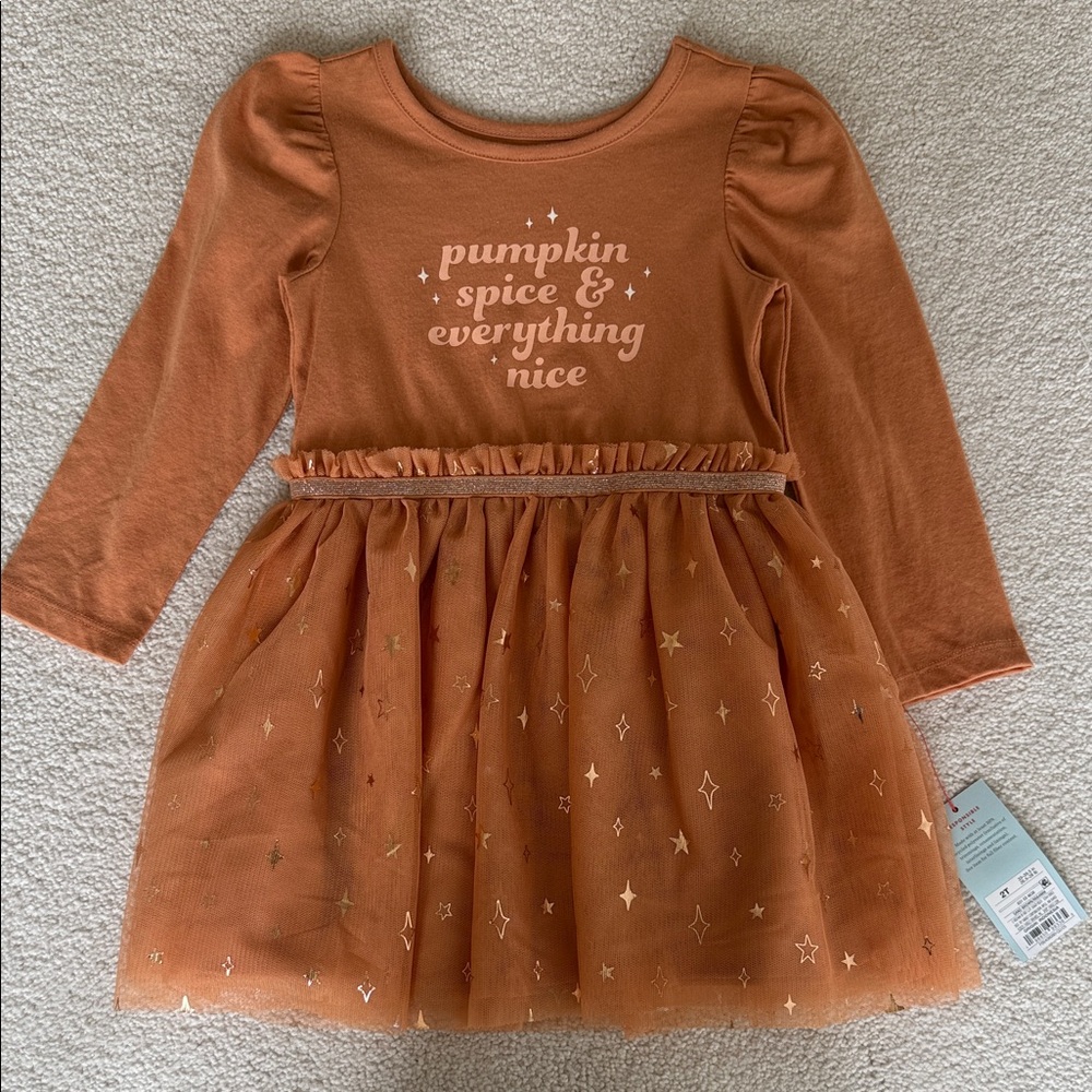 Cat & Jack Pumpkin Spice Orange Tulle Dress